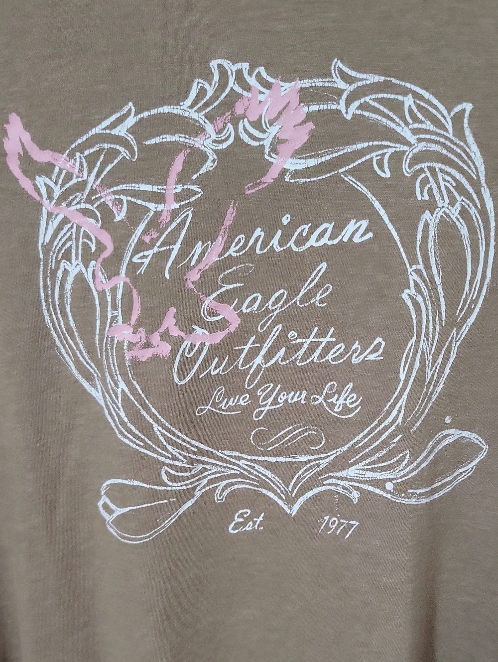 American Eagle Outfitters Long Sleeve Graphic Tee, Size XXL - Picture 3 of 5